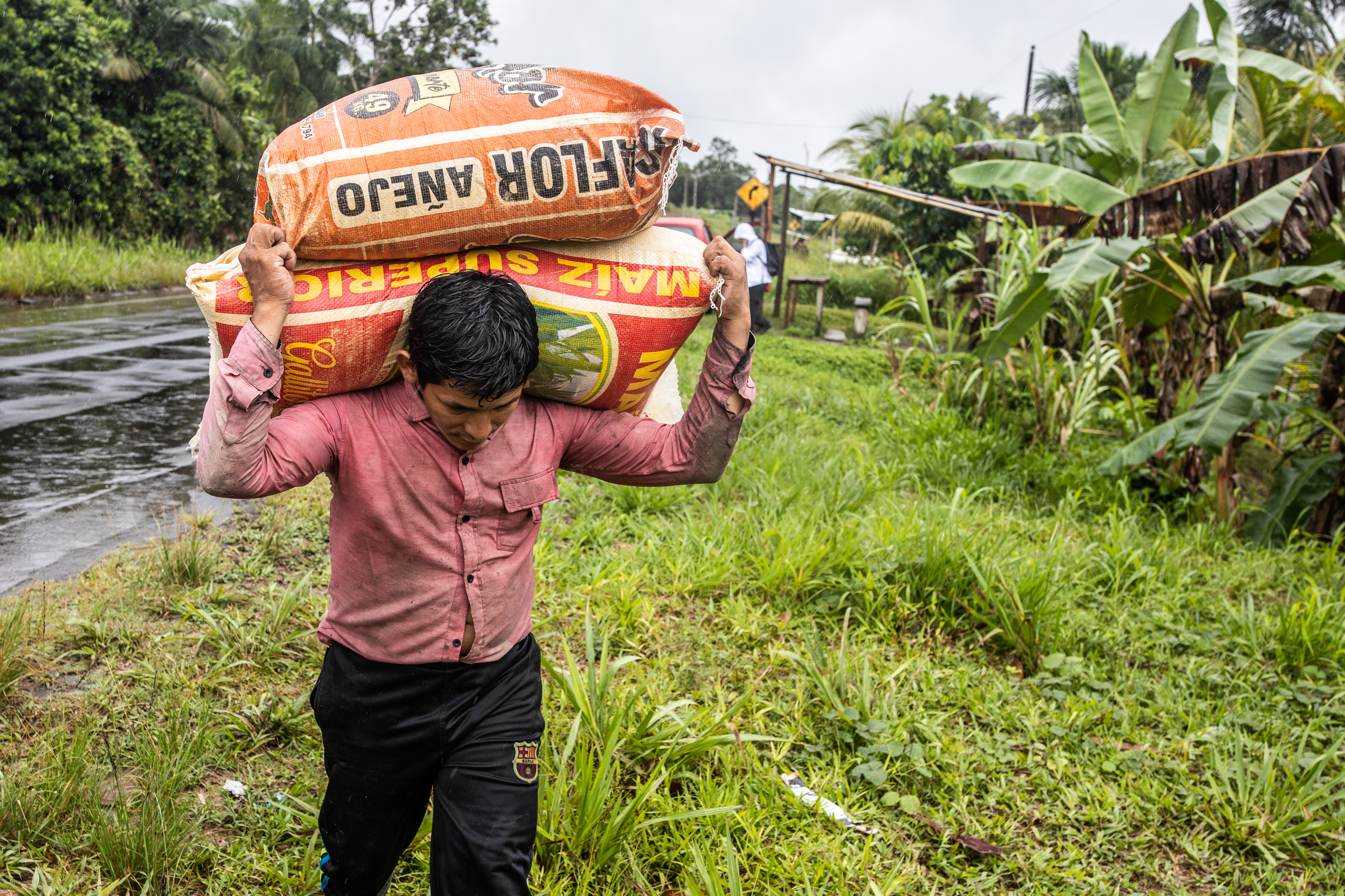 Man Carrying Maize in wet countryside