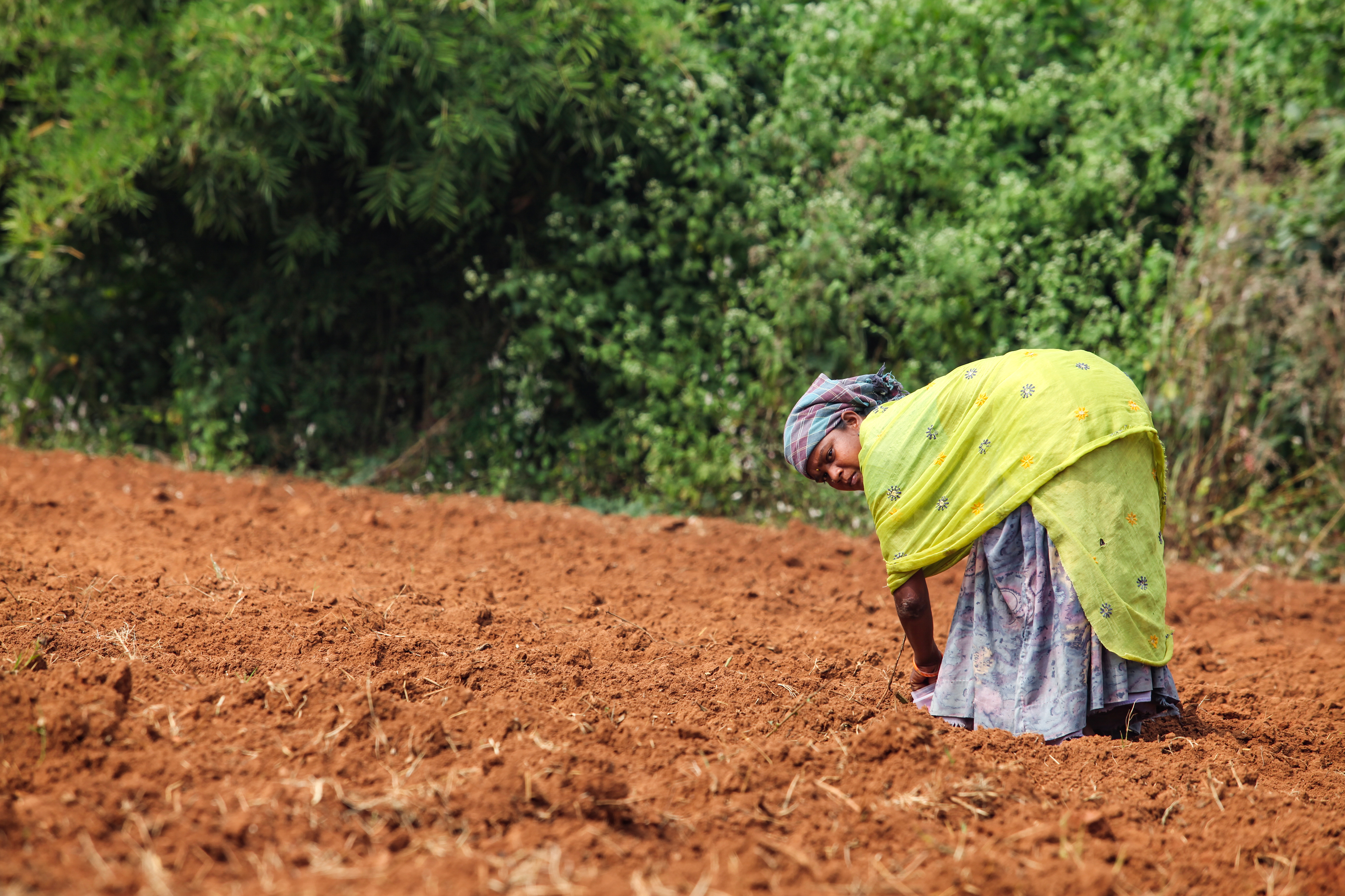 Woman farming