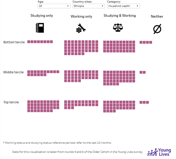 Working and studying status in Ethiopia country sites at age 19