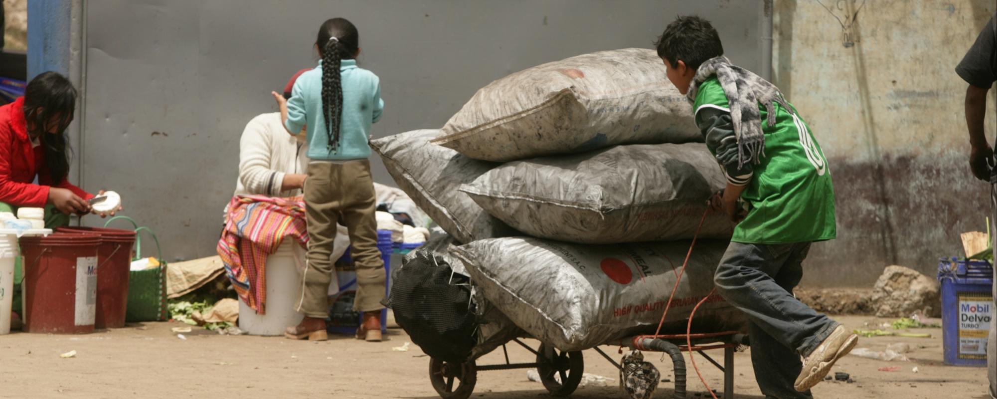 a boy moving a trailer of sacks 
