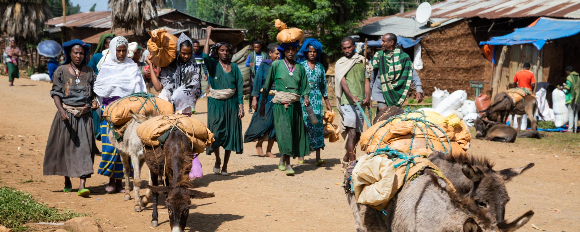 women travelling with donkeys 