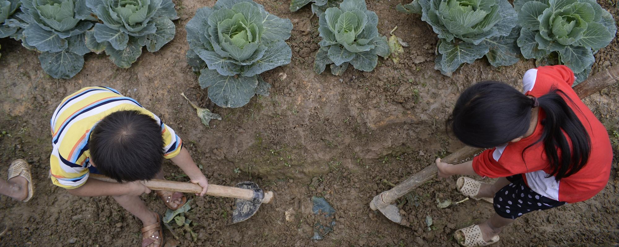 Children planting vegetables