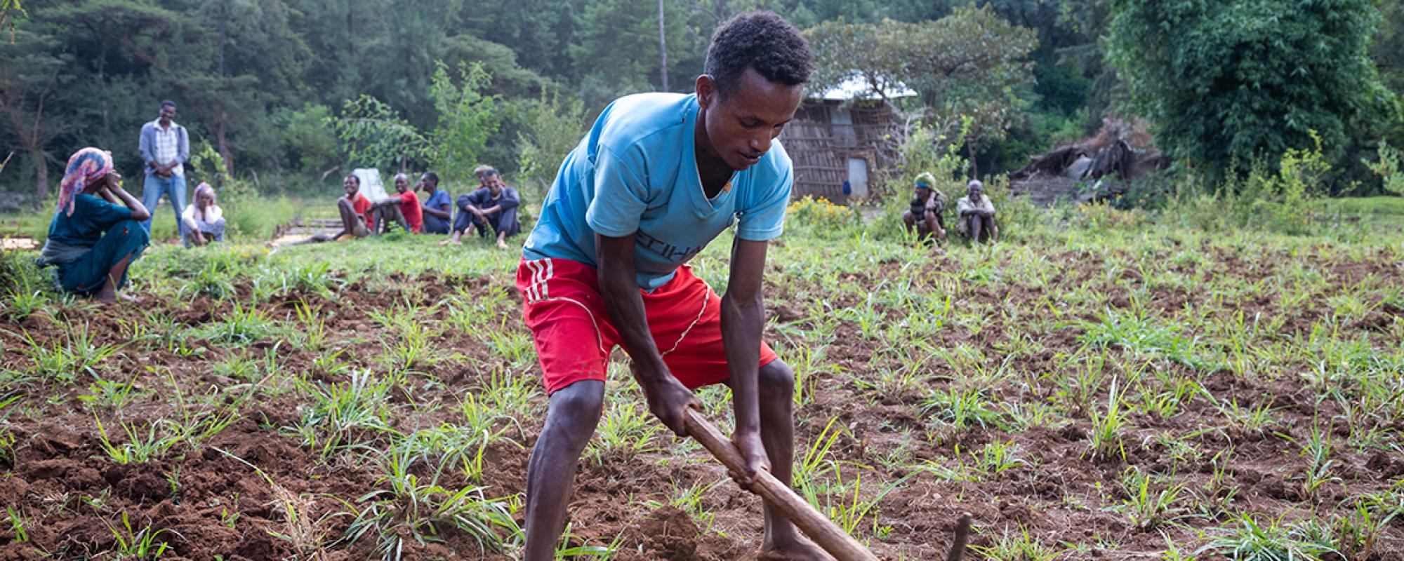 Young man ploughing fields
