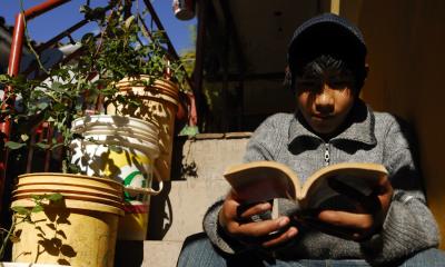 boy reading in the sunshine