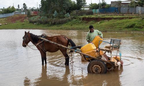 Man with a Horse and cart in flooded water 