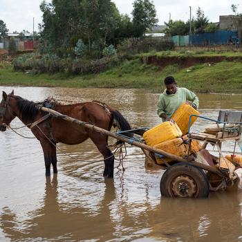 Man with a Horse and cart in flooded water 