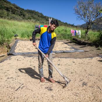 Young Peruvian farmer