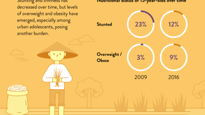 Vietnam composite infographic