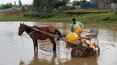 Man with a Horse and cart in flooded water 