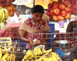 Indian women working in the market