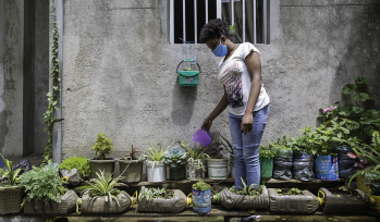 Gardening during lockdown in Ethiopia Gardening during lockdown in Ethiopia