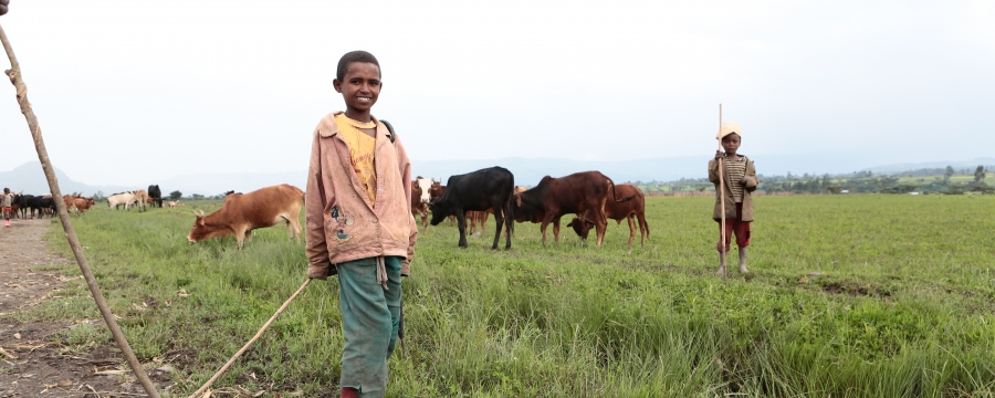 Bildergebnis für சிறுவர் வேலை