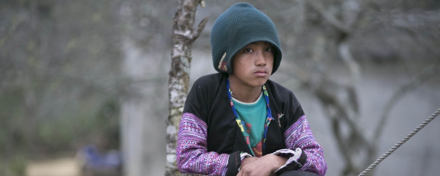Boy sat by a tree stump